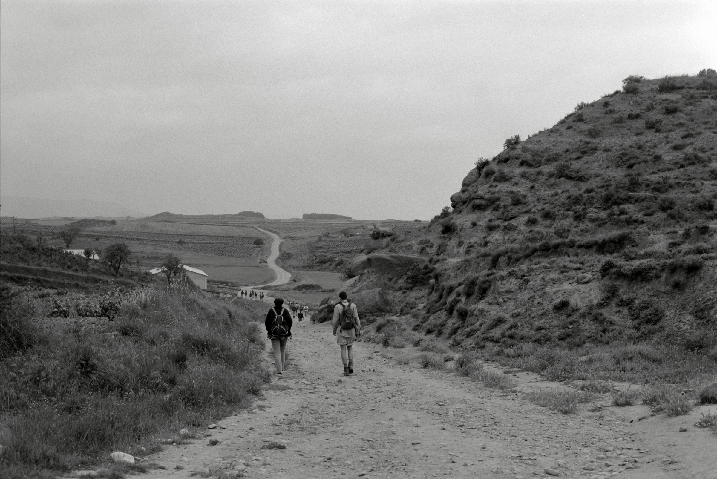 AHP F1995 05 008 sc240826 img17 NLP